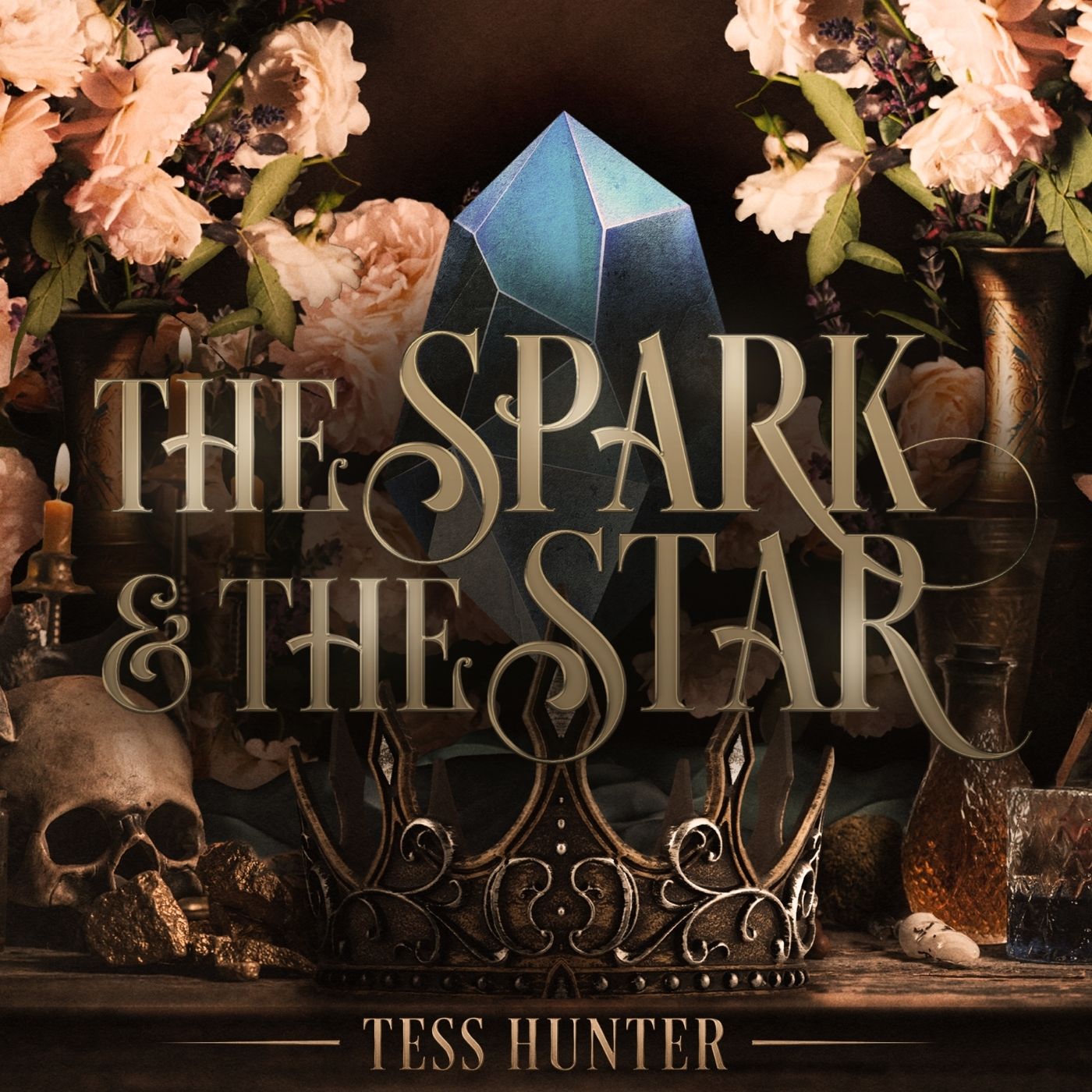 The Spark & the Star Audiobook